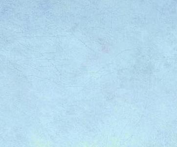 Фрагмент Venice