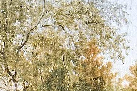 Фрагмент Вид на острове Валааме.1858.