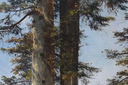 Фрагмент View of a Forest Clearing