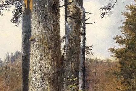 Фрагмент View of a Forest Clearing