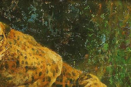Фрагмент View of a Leopard