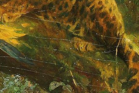 Фрагмент View of a Leopard