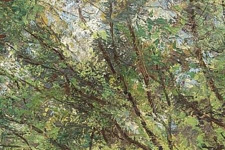 Фрагмент VIEW OF FRANZENSBAD