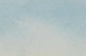 Фрагмент VIEW OF ST PETERSBURG FROM THE NEVA 1854