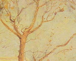 Фрагмент Washington-square-new-york II