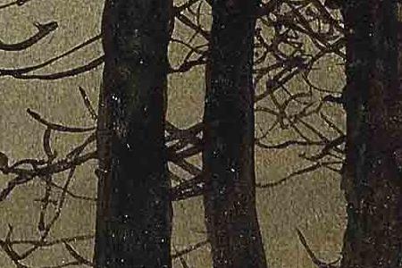 Фрагмент Waterloo Lake Roundhay Park Leeds