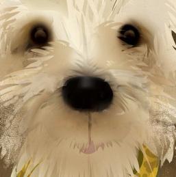 Фрагмент WHEATEN