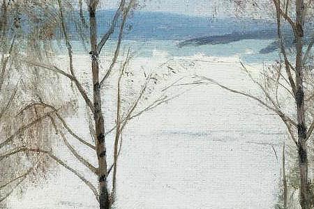 Фрагмент Winter in odnes norway