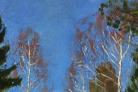 Фрагмент WINTER RAYS