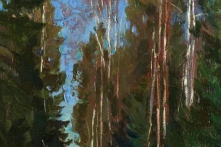 Фрагмент WINTER RAYS