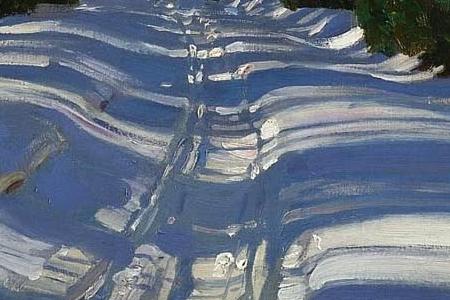 Фрагмент WINTER RAYS