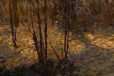 Фрагмент Woodland stream