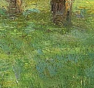 Фрагмент Яблоня в Орхарде тот что на Джупилле