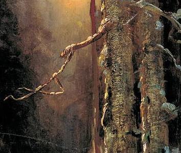 Фрагмент Закат солнца зимой