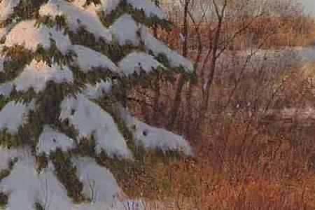 Фрагмент ЗИМА В ГОРАХ