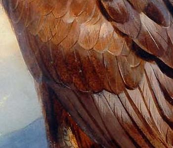 Фрагмент Золотистый Орел