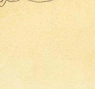 Фрагмент ZWE FREUNDINNEN