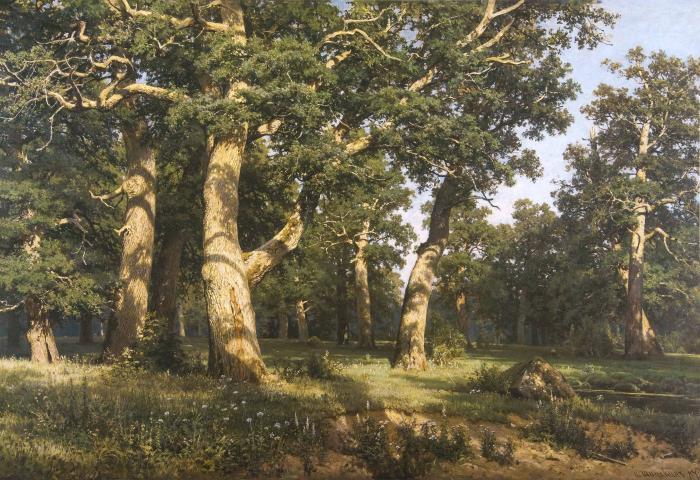 Дубовая роща. 1887.
