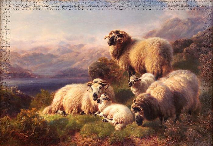 Evening Head of Loch Long Dumbartonshire