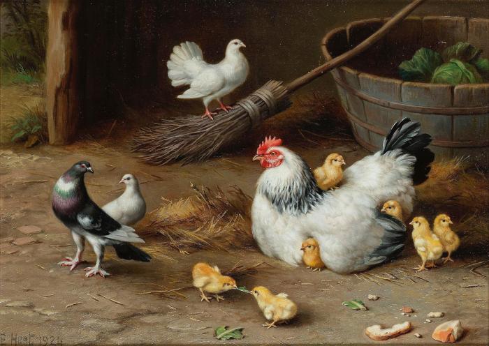 Hen and chicks in a barn