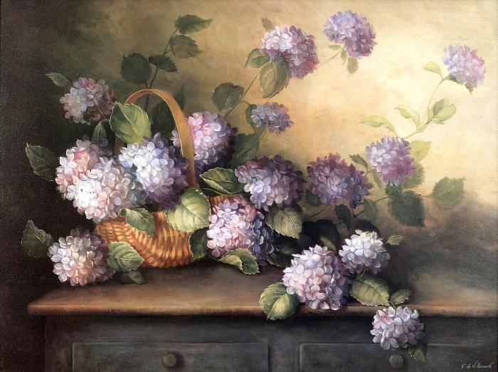 Hydrangeas in Violet