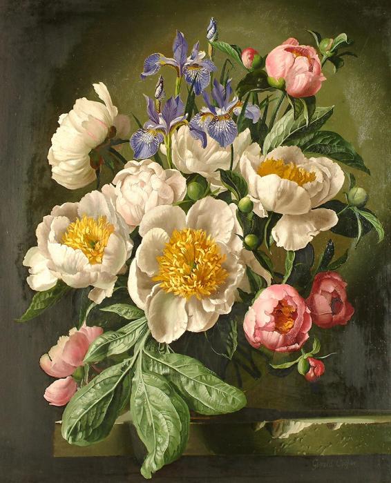 Iris and peonies