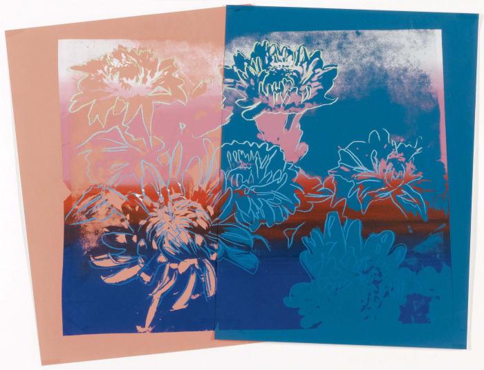 KIKU розовый, голубой, синий