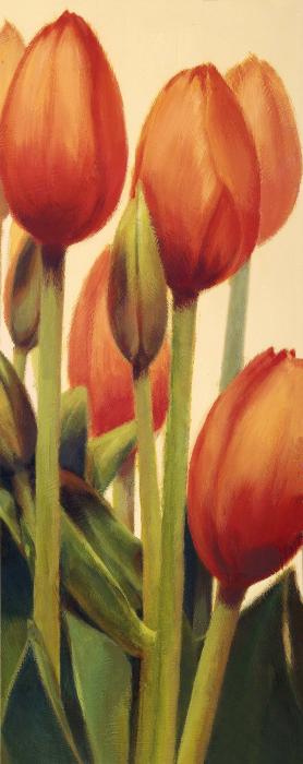 Красные тюльпаны