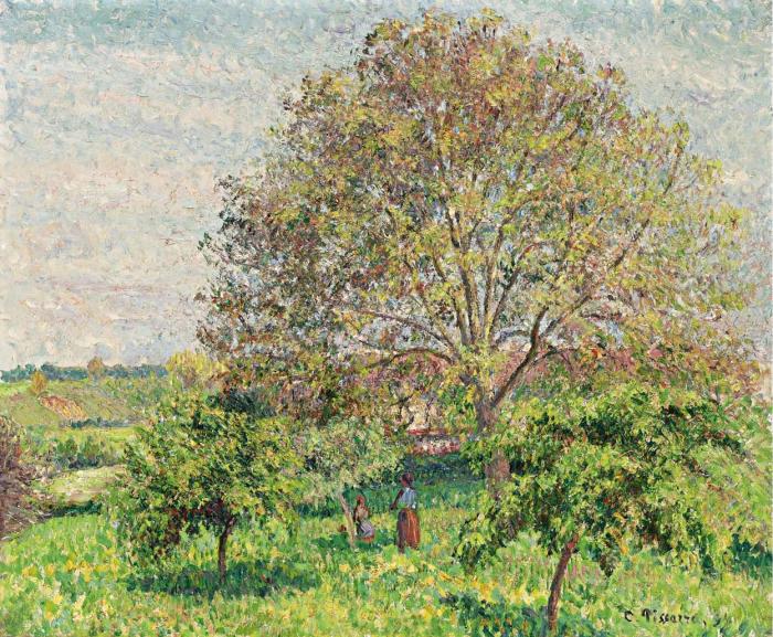 LE GRAND NOYER AU PRINTEMPS ERAGNY