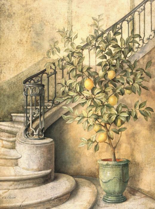 Лимоное дерево