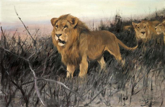 LOWEN IN VERBRANNTER STEPPE LIONS IN A BURNT STEPPE