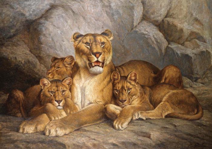 Львица и львята