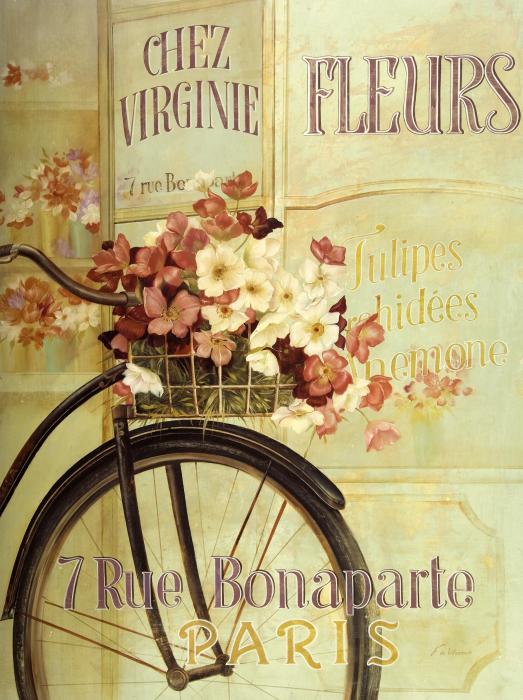 Paris bicycle.
