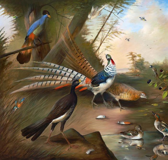 Pheasants and exotic fowls