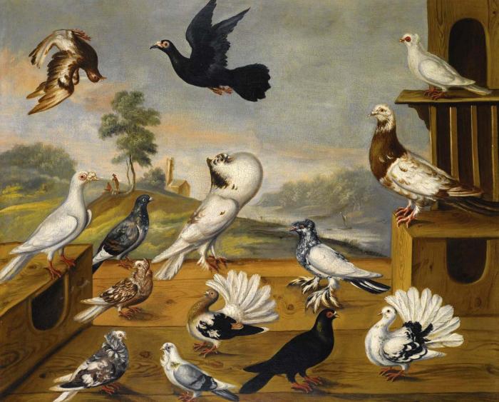 PIGEONS IN A LANDSCAPE