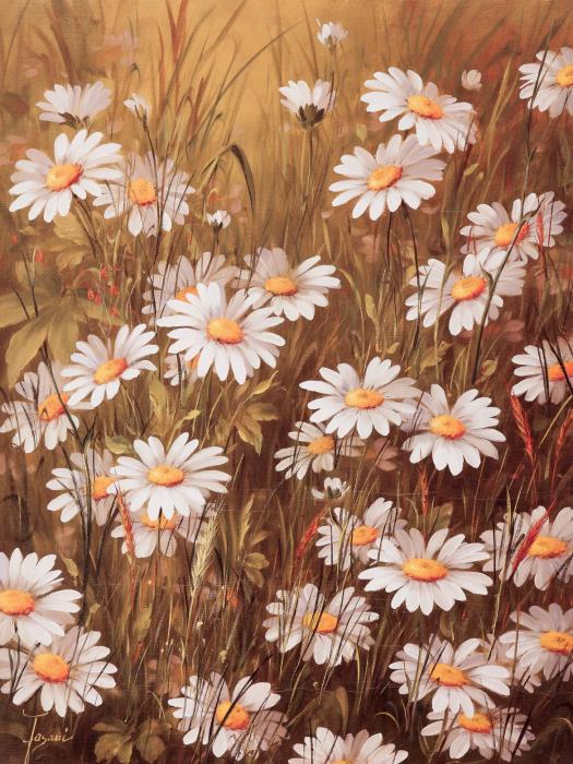 Поле с ромашками