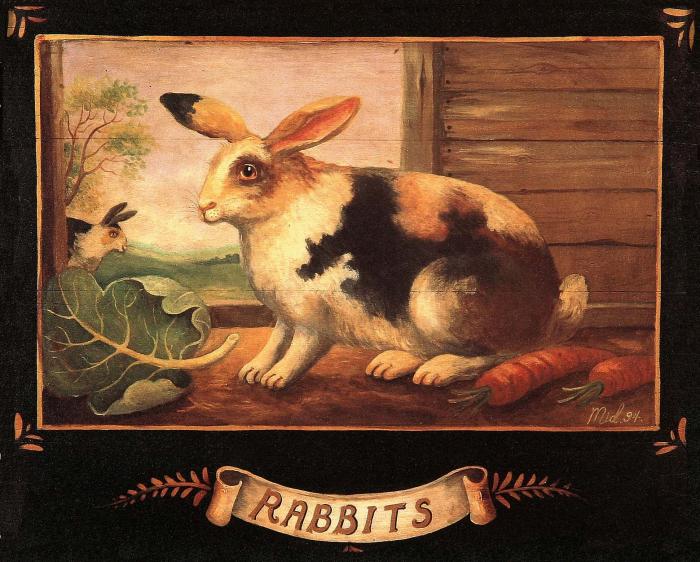 RABBITS
