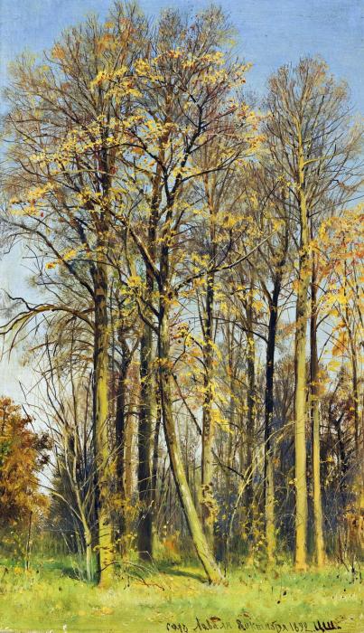 ROWAN TREES IN AUTUMN