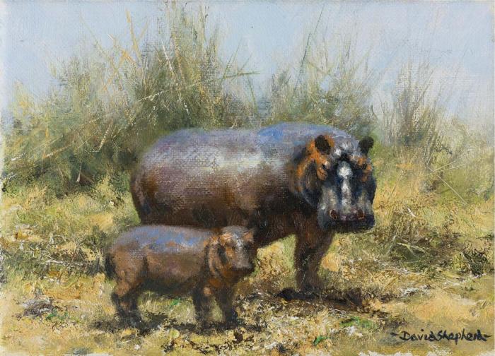 Семейство Гиппо