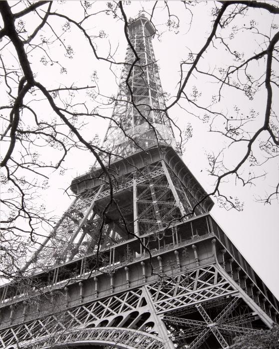 Spring- La Tour Eiffel.