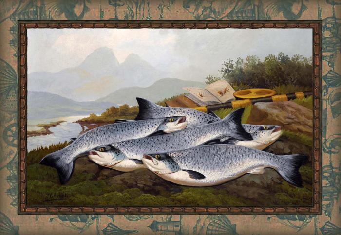 Улов в горной реке