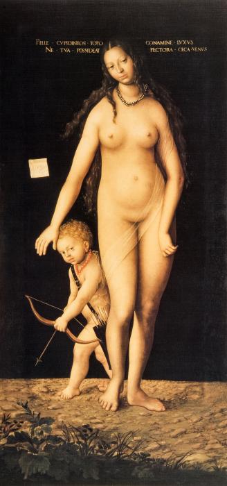 Venus and Cupid.1509