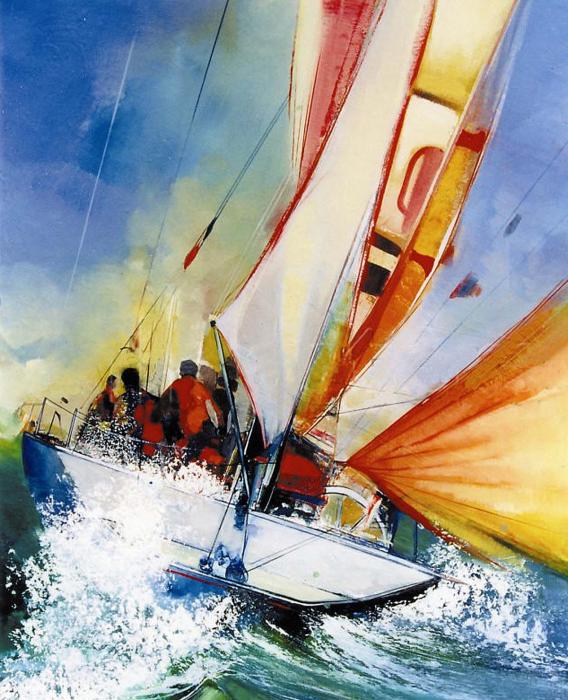 Яхтная гонка V